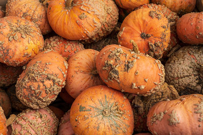 Full frame shot of pumpkins