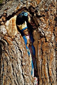 Close-up of young woman standing by tree trunk