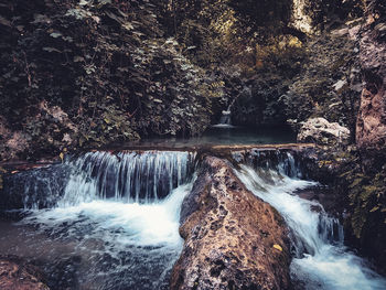 Scenic view of waterfall in forest