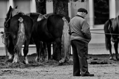 Full length of man with horses standing at farm