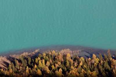 Scenic view of calm sea