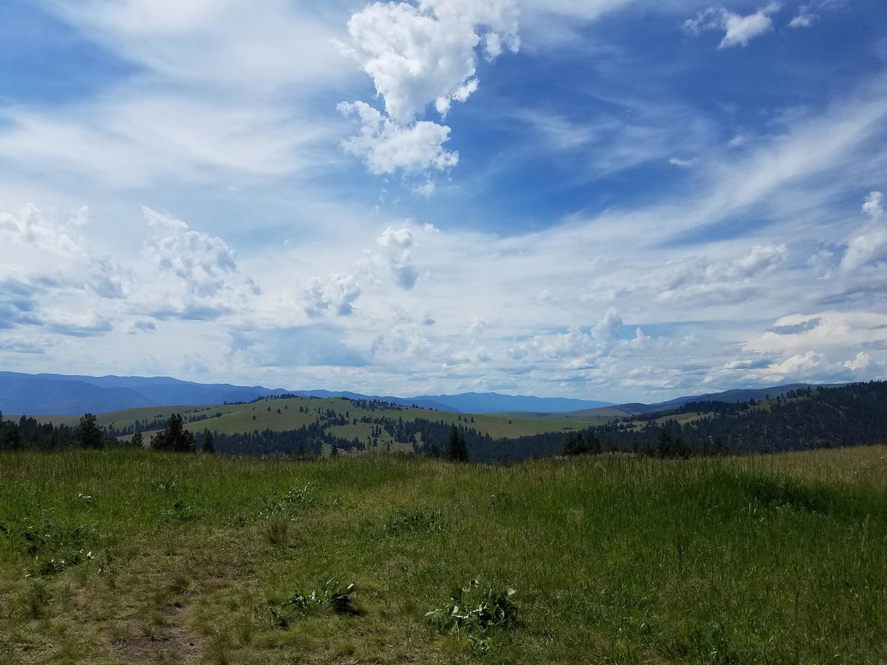 SCENIC VIEW OF FIELD AGAINST CLOUDY SKY