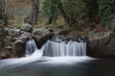 View of waterfall in forest