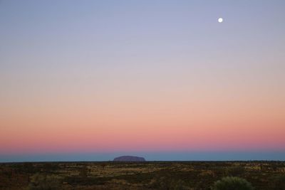 Scenic view of field against clear sky during sunset