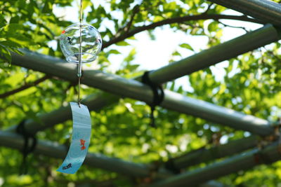 Low angle view of decoration hanging on tree against sky