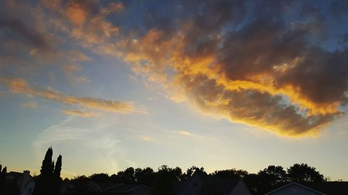 Low angle view of silhouette trees against sky at sunset