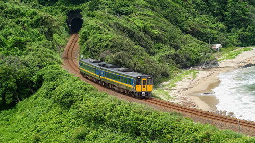 High angle view of train amidst trees