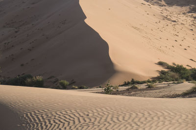 Scenic view of sand dunes in desert