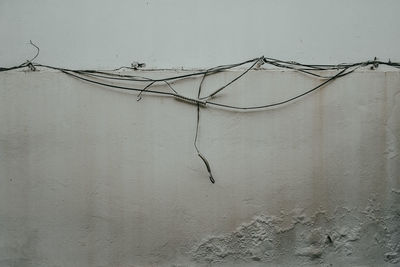 Close-up of hanging against wall