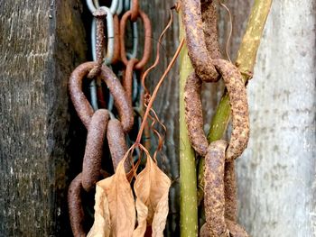 Close-up of rusty metal