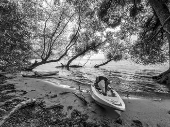 View of boat in the forest