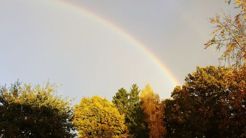 Low angle view of rainbow against sky