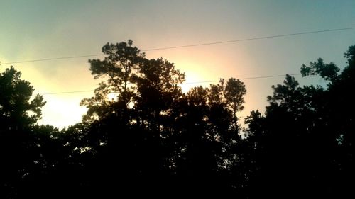 Silhouette of trees against sky at sunset