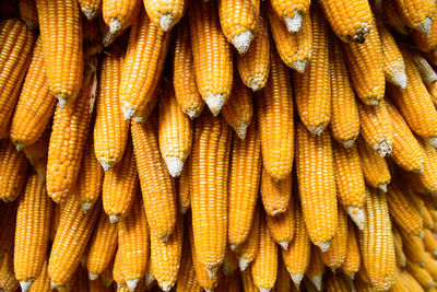 Full frame shot of corns for sale at market stall