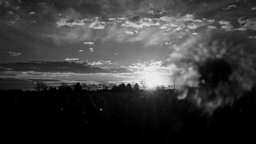 Silhouette trees on field against sky at sunset