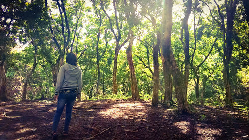 Rear view of man standing by trees in forest