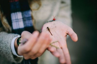 Midsection of woman holding insect