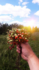 Midsection of man holding fruit on field against sky