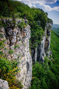 Trees on cliff against sky