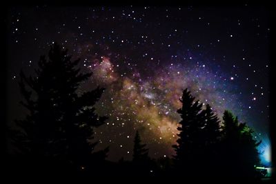 Low angle view of firework display at night