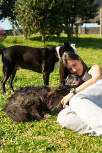 Dogs sitting on grassy field