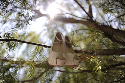 Low angle view of hanging from tree