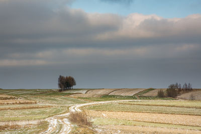 Scenic view of agricultural field against sky