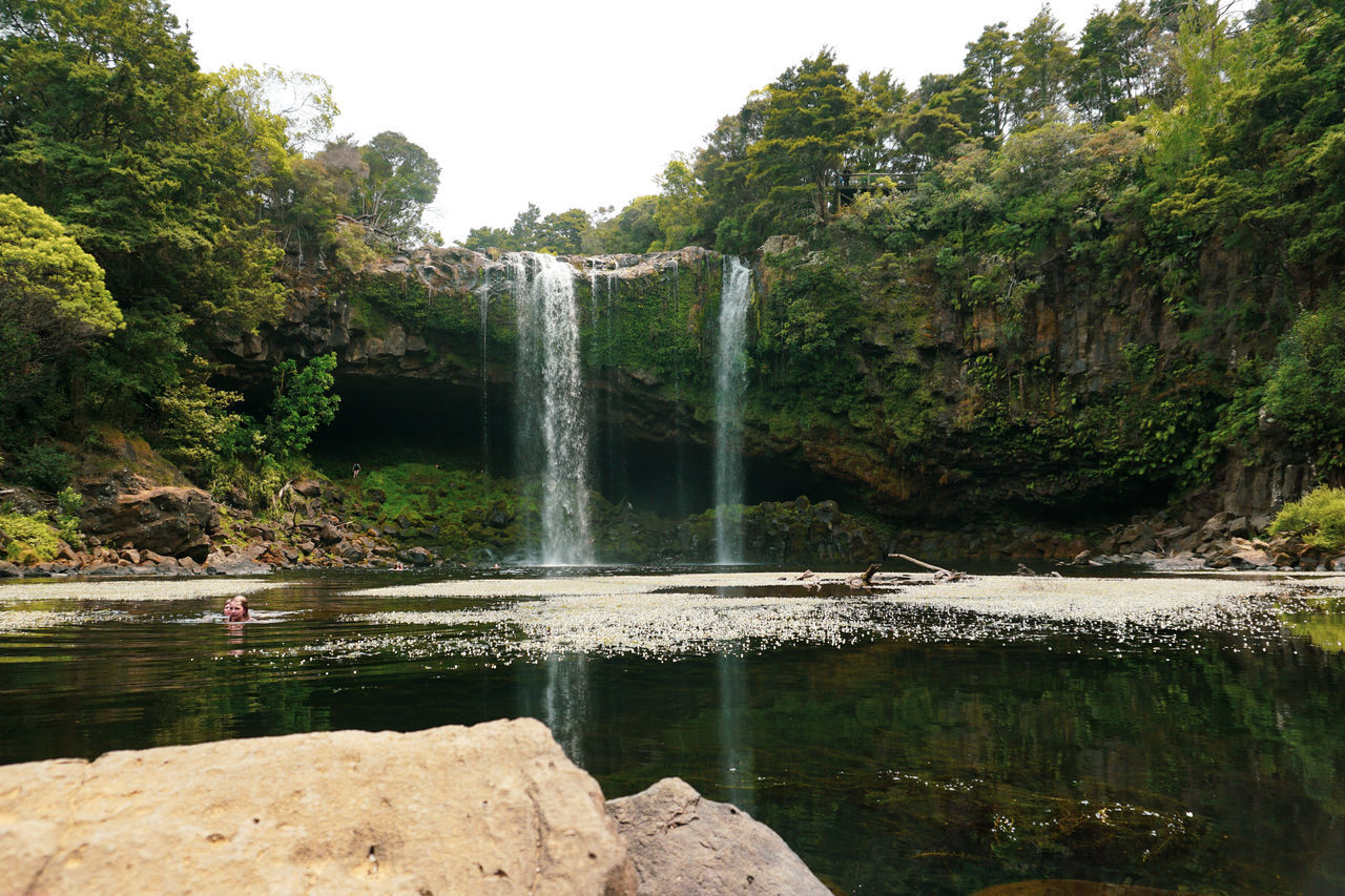 water, waterfall, tree, plant, nature, body of water, scenics - nature, beauty in nature, water feature, rock, environment, motion, lake, no people, flowing water, forest, long exposure, travel destinations, land, tranquility, outdoors, non-urban scene, day, travel, tourism, sky, green, landscape, tranquil scene, idyllic, flowing, reservoir, watercourse, reflection, stream