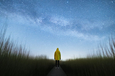 Rear view of man standing on boardwalk amidst plants