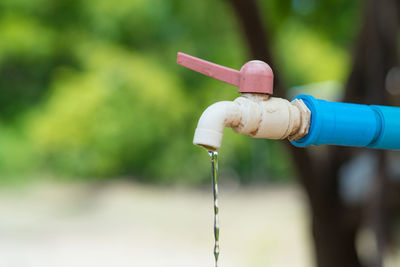 Close-up of water drop on faucet in park