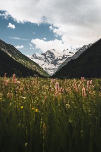 Scenic view of mountains against cloudy sky