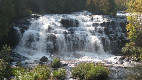 Scenic view of waterfall in forest