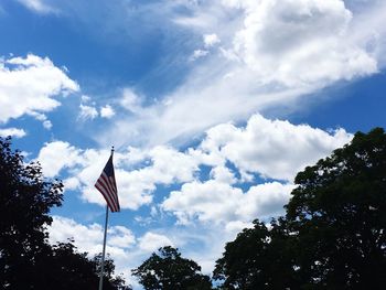 Low angle view of tree against blue sky