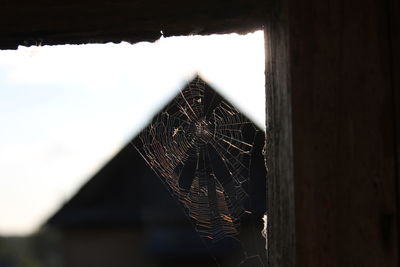 Close-up of spider web on old building against sky