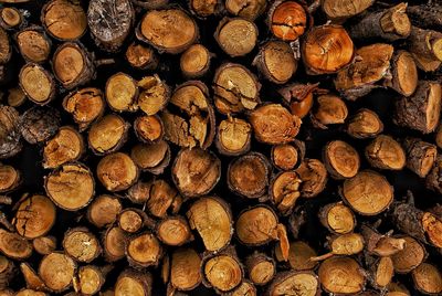 Full frame shot of logs in forest