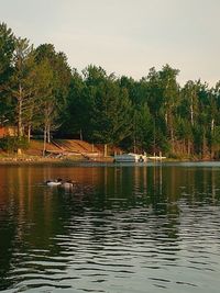 Scenic view of lake in forest against sky