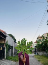 Person holding plant against sky