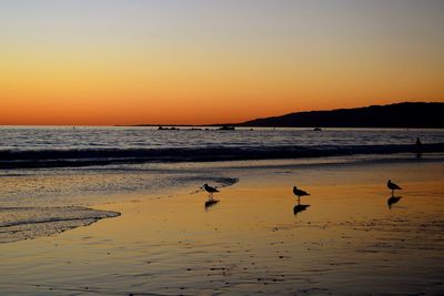 Scenic view of sea at sunset