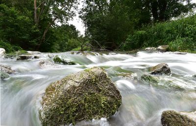 Scenic view of waterfall in forest