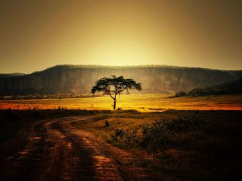 Dirt road amidst field against sky during sunset