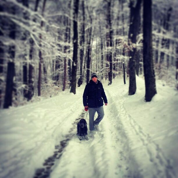 snow, winter, cold temperature, season, weather, warm clothing, covering, rear view, tree, lifestyles, full length, leisure activity, white color, the way forward, frozen, walking, covered, nature