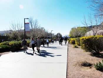 People walking on road