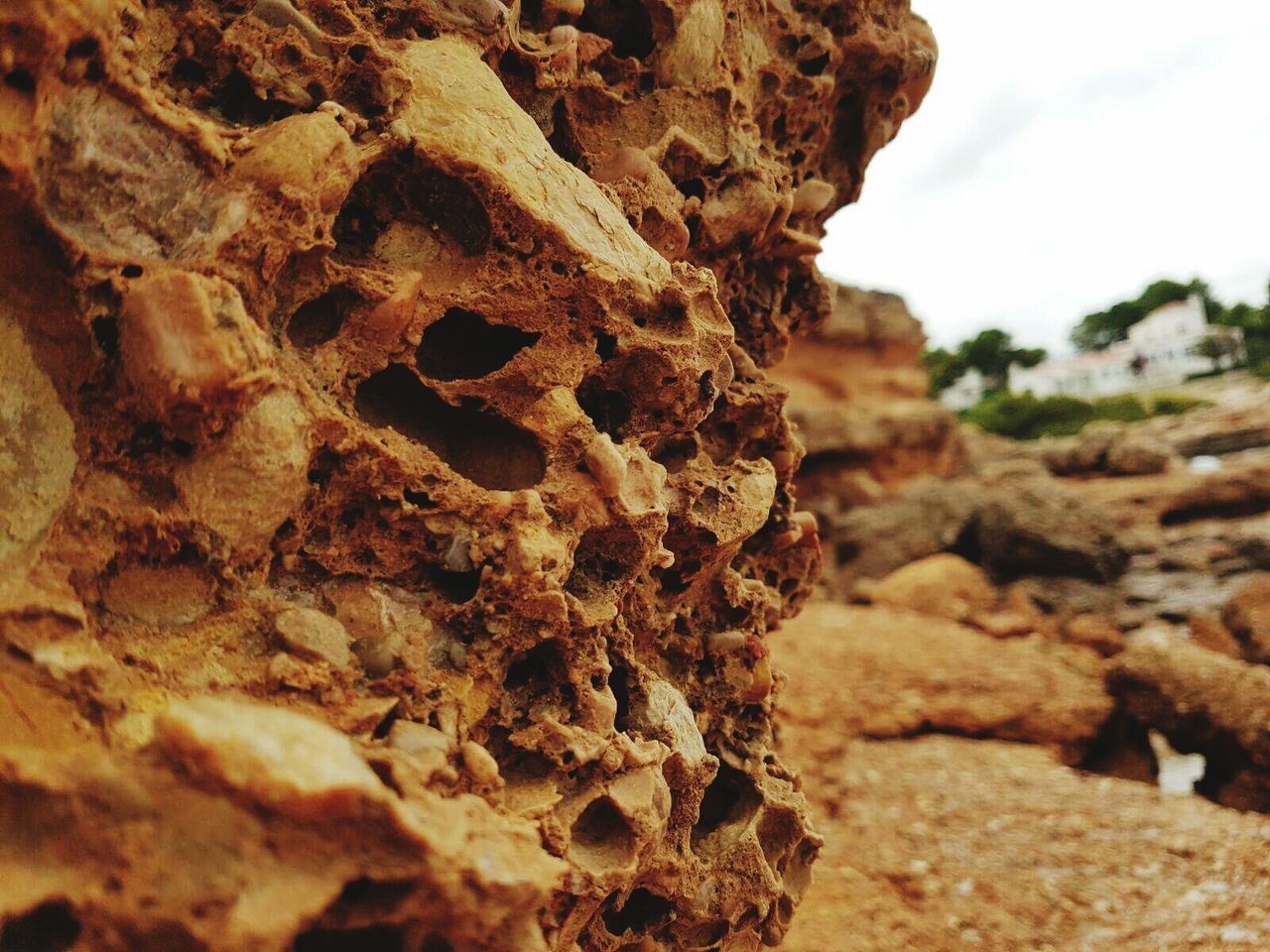 CLOSE-UP OF ROCK ON SHORE