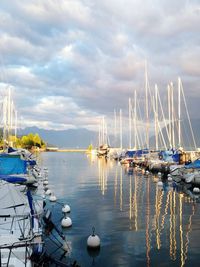 Sailboats in marina