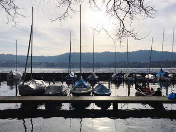 Sailboats moored at harbor against sky
