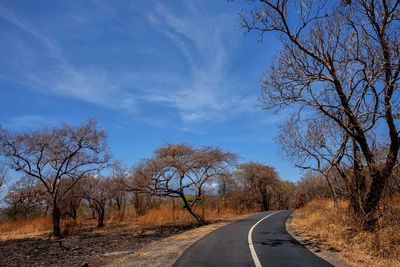 Road amidst trees against sky
