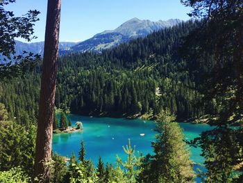 Scenic view of lake and trees against sky