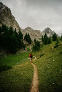 Rear view of woman walking on trail