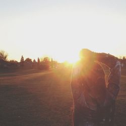 sun