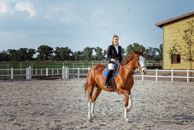 Side view of horse standing on field